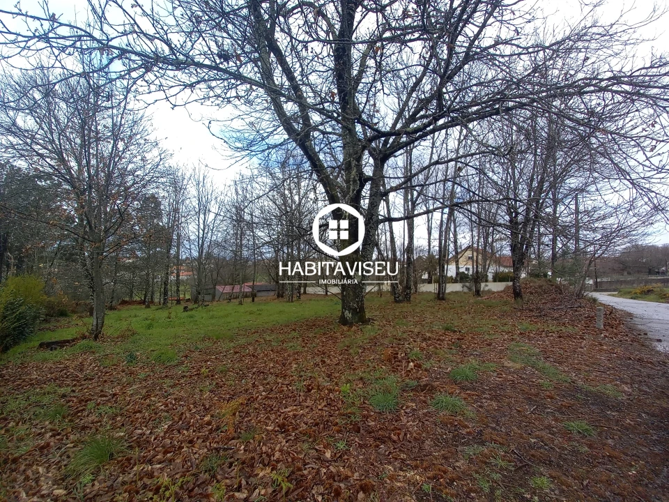 Terreno para Venda em Satão Foto 2