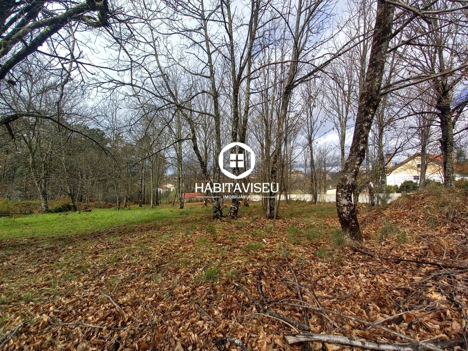 Terreno para Venda em Satão Foto 6