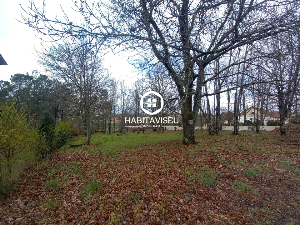 Terreno para Venda em Satão Foto 1