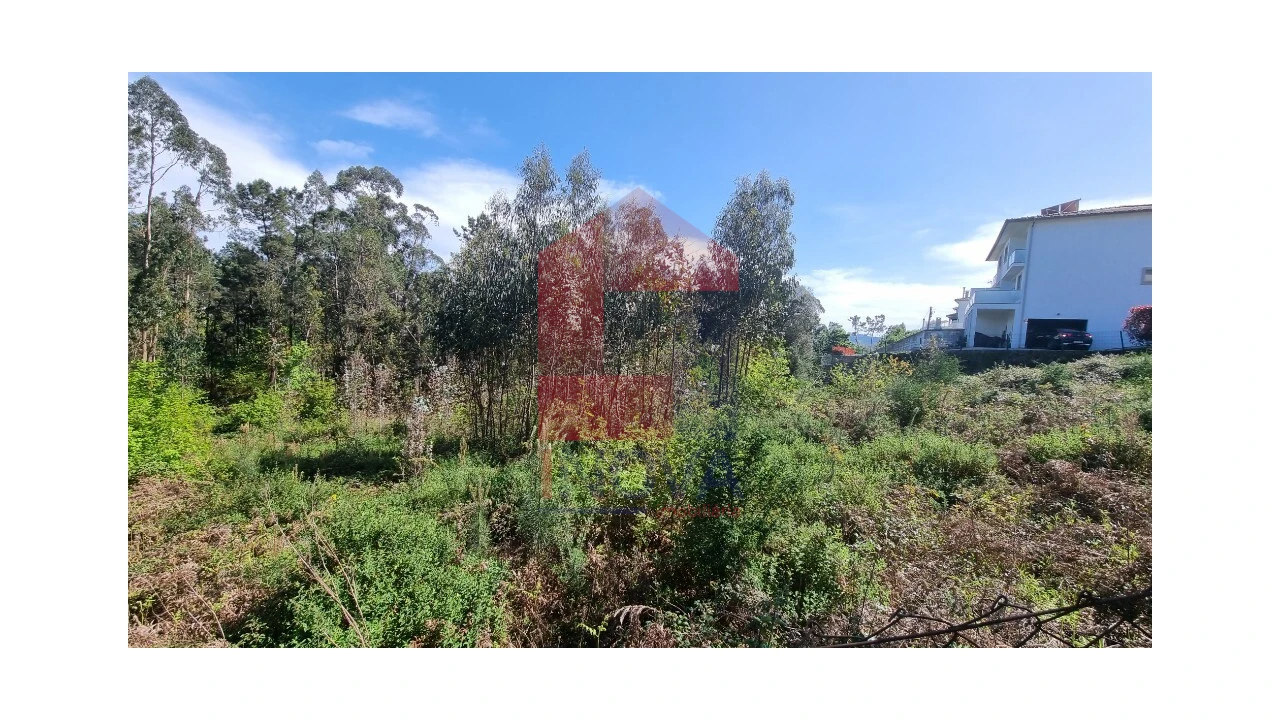 Terreno para Venda em Vila Verde e Barbudo Foto 6