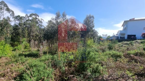 Terreno para Venda em Vila Verde e Barbudo
