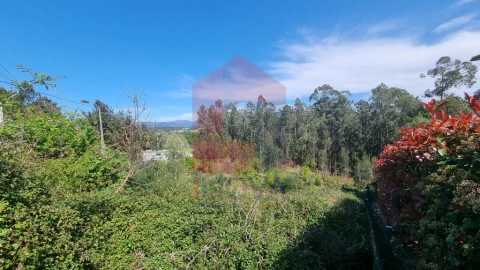 Terreno para Venda em Vila Verde e Barbudo