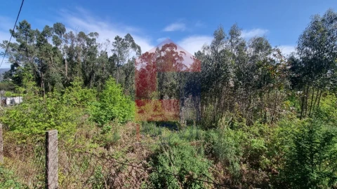 Terreno para Venda em Vila Verde e Barbudo