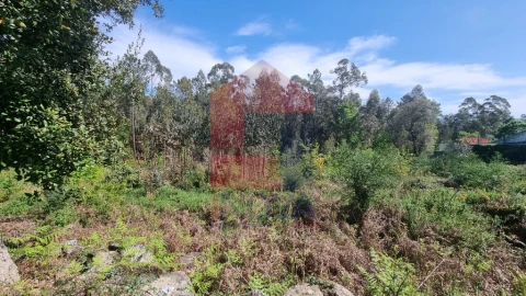 Terreno para Venda em Vila Verde e Barbudo