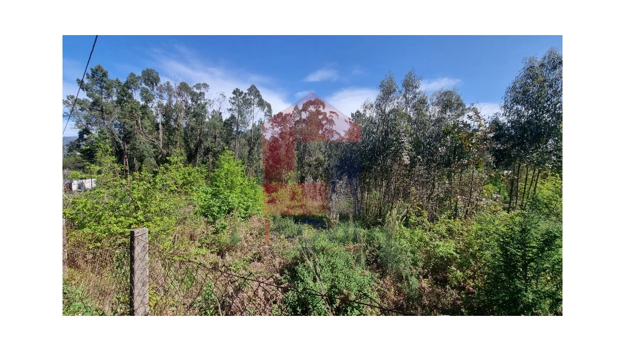 Terreno para Venda em Vila Verde e Barbudo Foto 5