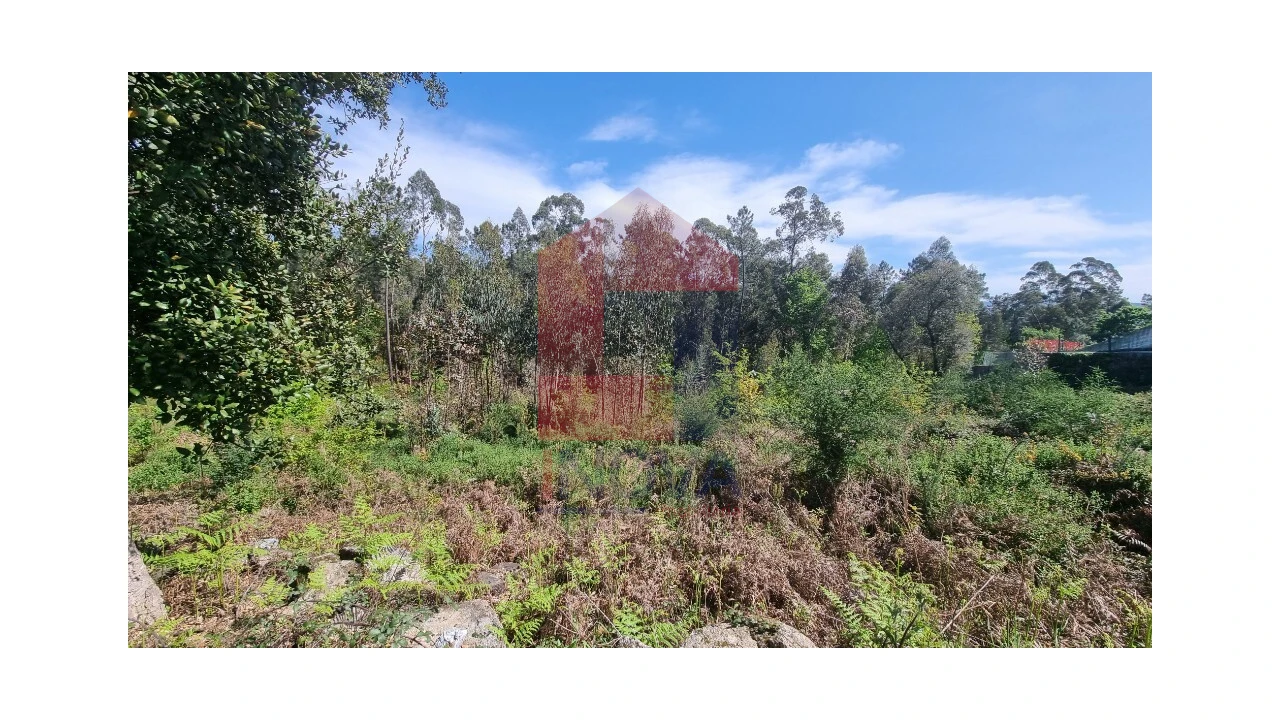 Terreno para Venda em Vila Verde e Barbudo Foto 2