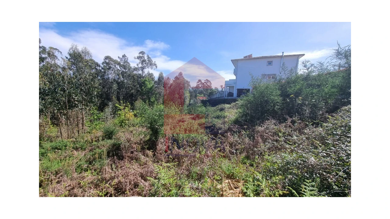 Terreno para Venda em Vila Verde e Barbudo Foto 3