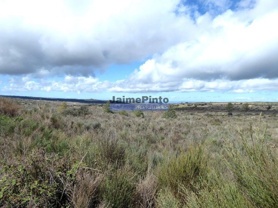 Terreno Agricola ou Rústico para Venda em Algodres, Vale de Afonsinho e Vilar de Amargo Foto 4