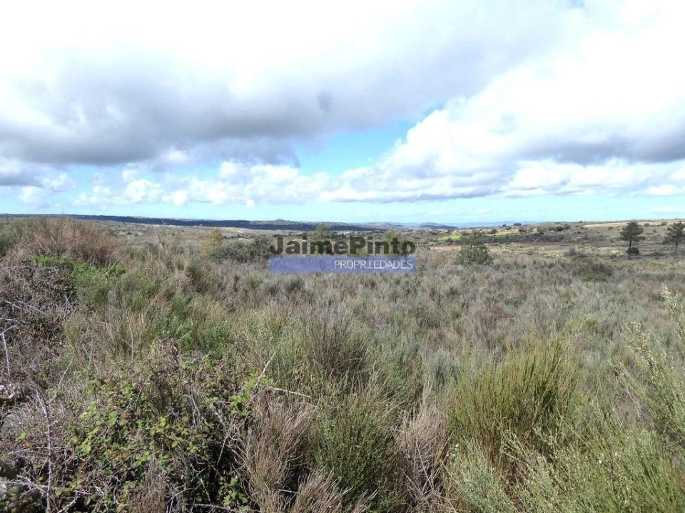 Terreno Agricola ou Rústico para Venda em Algodres, Vale de Afonsinho e Vilar de Amargo Foto 3