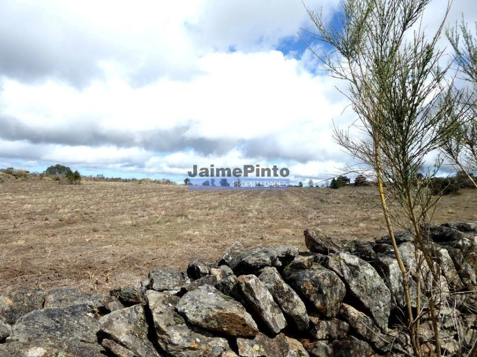 Terreno Agricola ou Rústico para Venda em Algodres, Vale de Afonsinho e Vilar de Amargo Foto 6