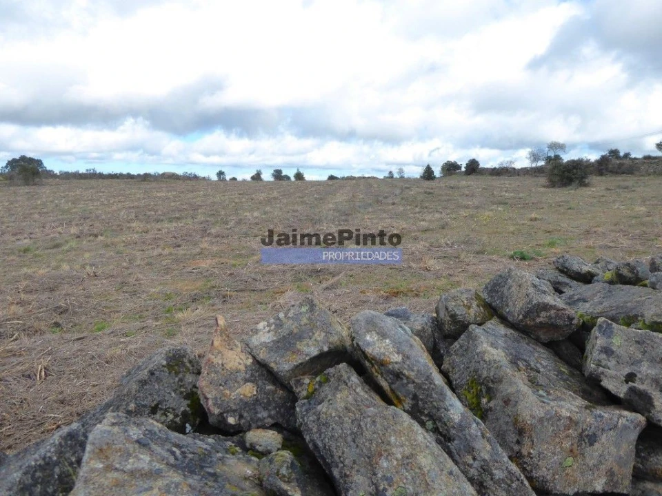 Terreno Agricola ou Rústico para Venda em Algodres, Vale de Afonsinho e Vilar de Amargo Foto 1