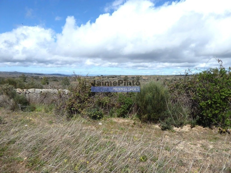Terreno Agricola ou Rústico para Venda em Algodres, Vale de Afonsinho e Vilar de Amargo Foto 7