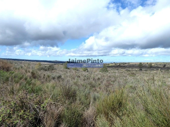 Terreno Agricola ou Rústico para Venda em Algodres, Vale de Afonsinho e Vilar de Amargo Foto 4
