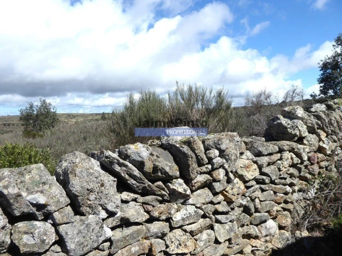 Terreno Agricola ou Rústico para Venda em Algodres, Vale de Afonsinho e Vilar de Amargo Foto 2