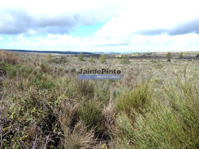 Terreno Agricola ou Rústico para Venda em Algodres, Vale de Afonsinho e Vilar de Amargo Foto 5
