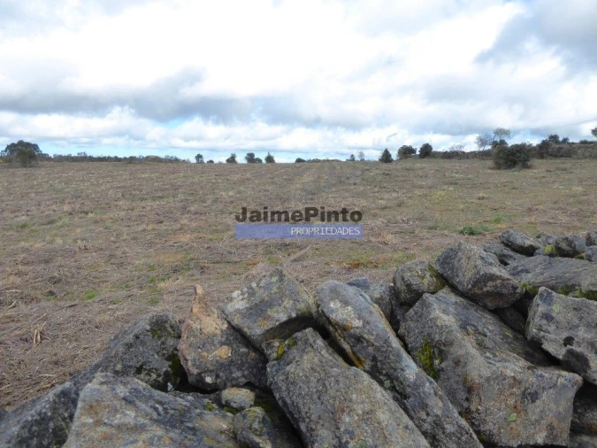Terreno Agricola ou Rústico para Venda em Algodres, Vale de Afonsinho e Vilar de Amargo Foto 1