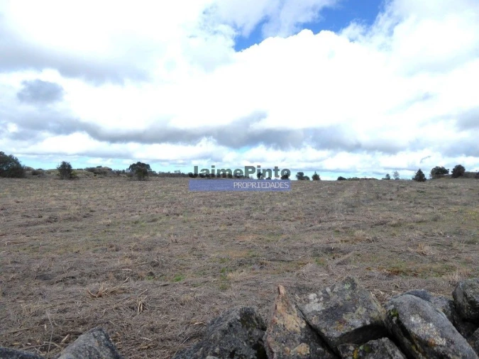 Terreno Agricola ou Rústico para Venda em Algodres, Vale de Afonsinho e Vilar de Amargo Foto 8