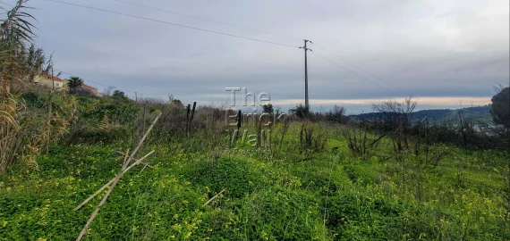 Terreno para Venda em Alhandra, São João dos Montes e Calhandriz