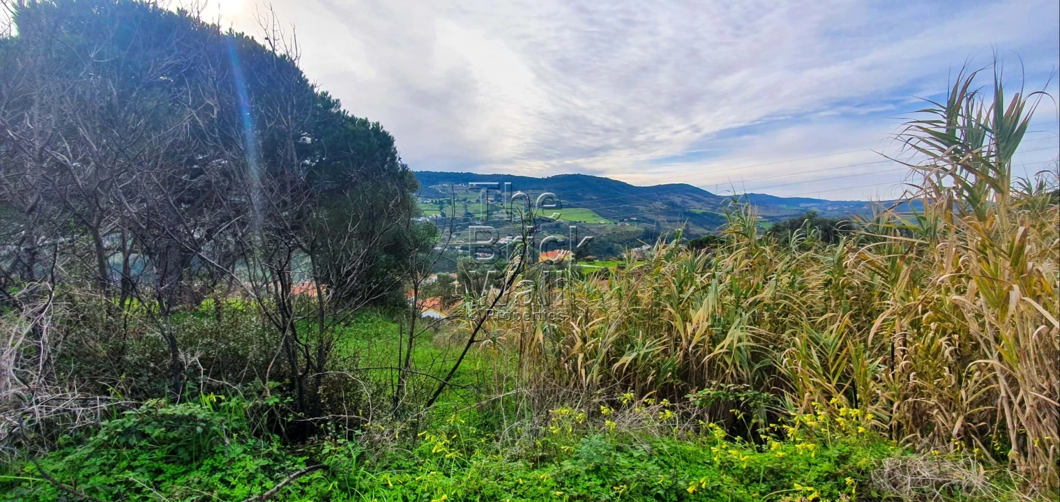 Terreno para Venda em Alhandra, São João dos Montes e Calhandriz Foto 1