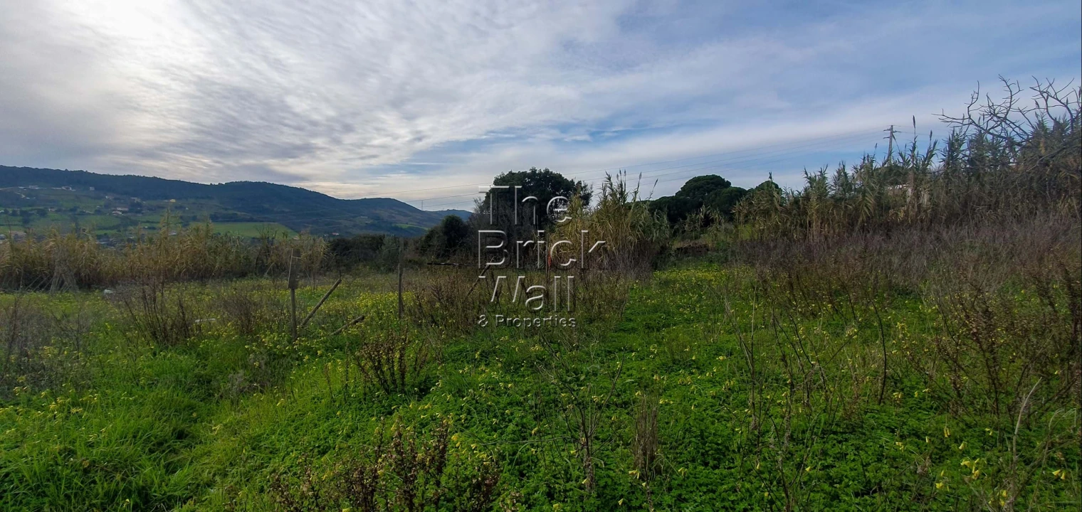Terreno para Venda em Alhandra, São João dos Montes e Calhandriz Foto 4