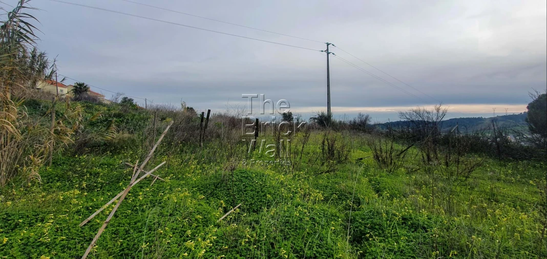 Terreno para Venda em Alhandra, São João dos Montes e Calhandriz Foto 3