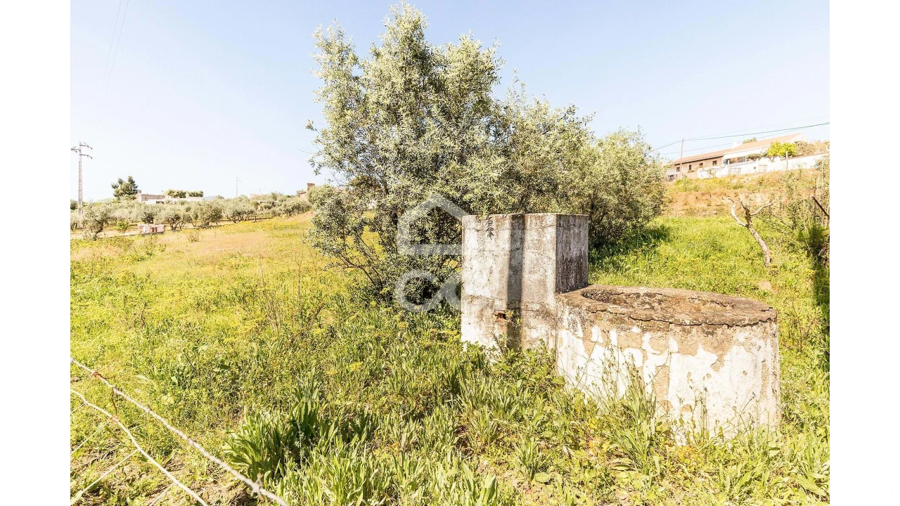 Terreno para Venda em Redondo Foto 19