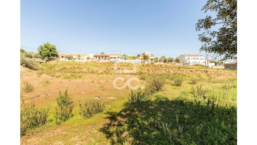 Terreno para Venda em Redondo Foto 28