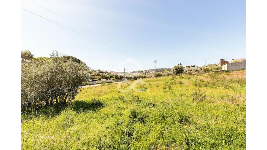 Terreno para Venda em Redondo Foto 10