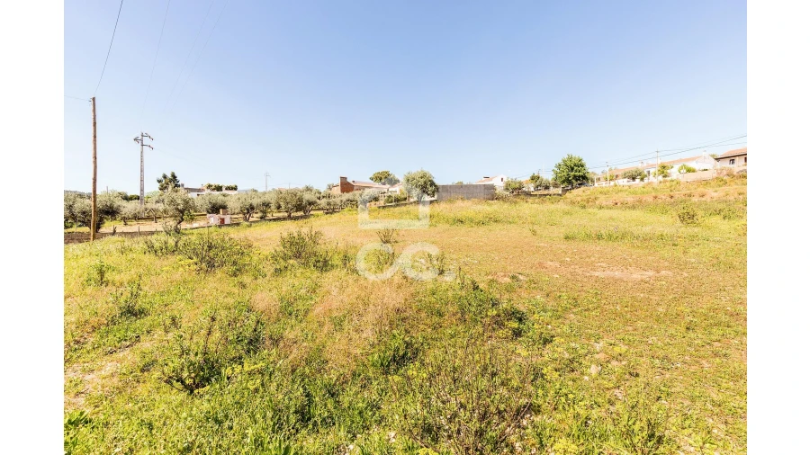 Terreno para Venda em Redondo Foto 23