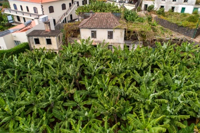 Moradia T2 para Venda em Arco da Calheta