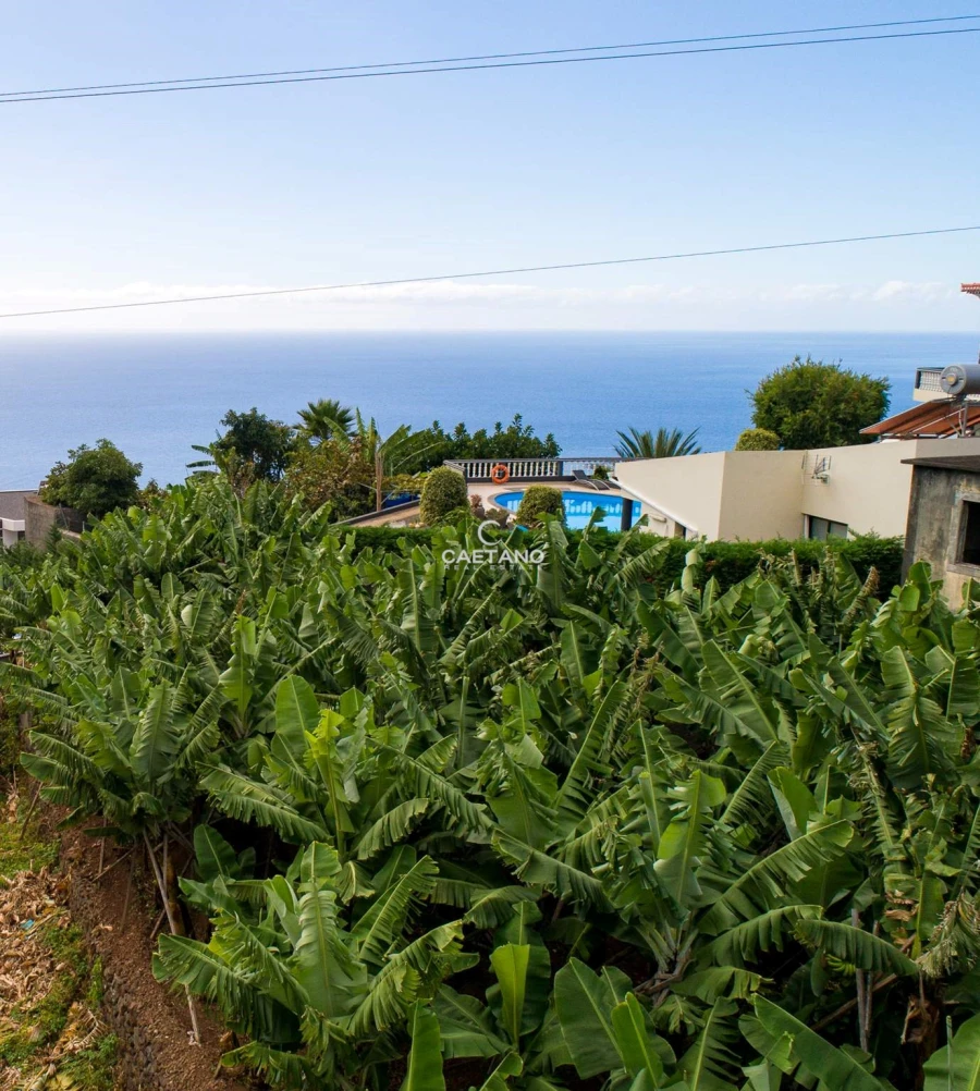 Moradia T2 para Venda em Arco da Calheta