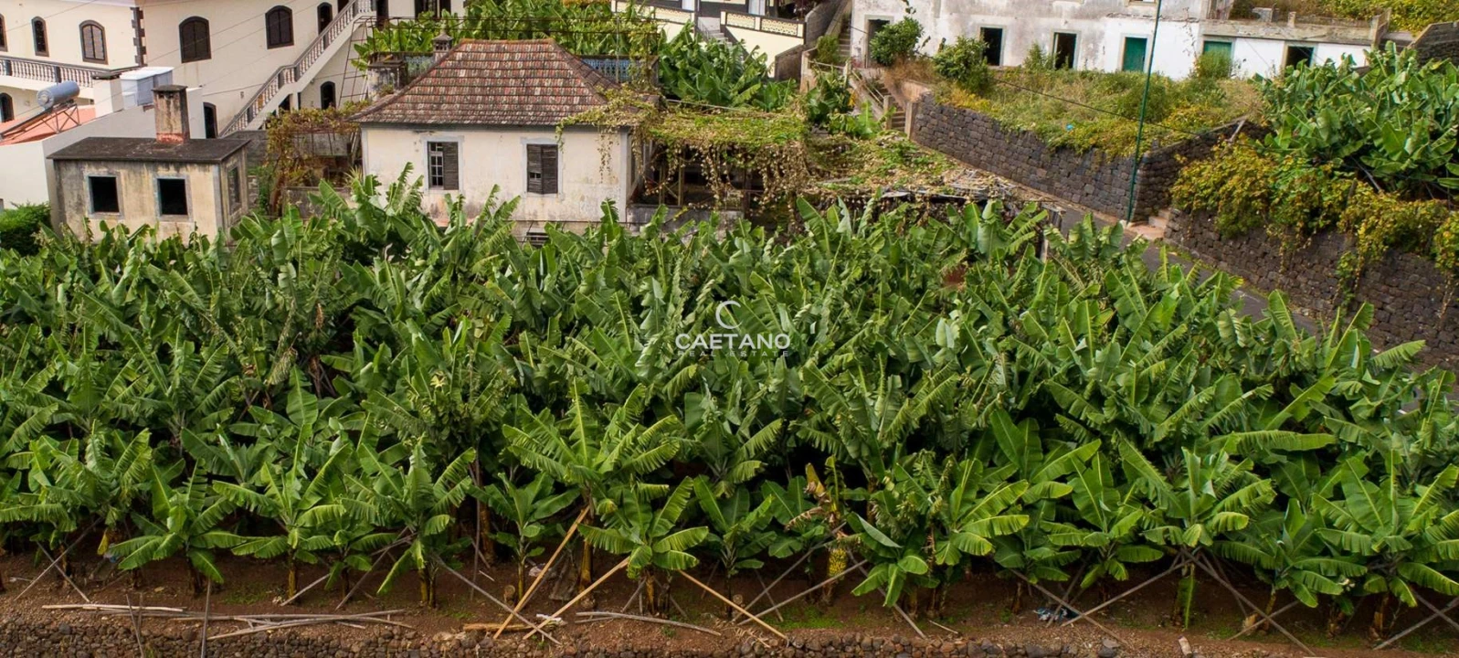 Moradia T2 para Venda em Arco da Calheta Foto 4