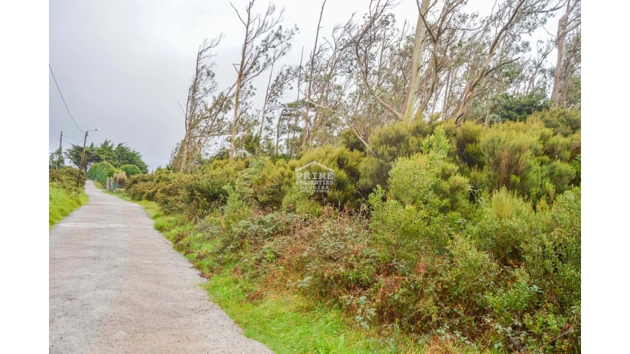 Terreno para Venda em Santo Antonio da Serra