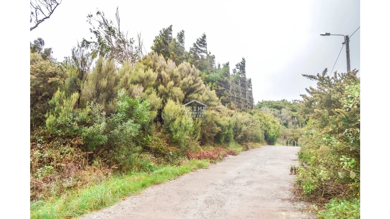 Terreno para Venda em Santo Antonio da Serra Foto 4