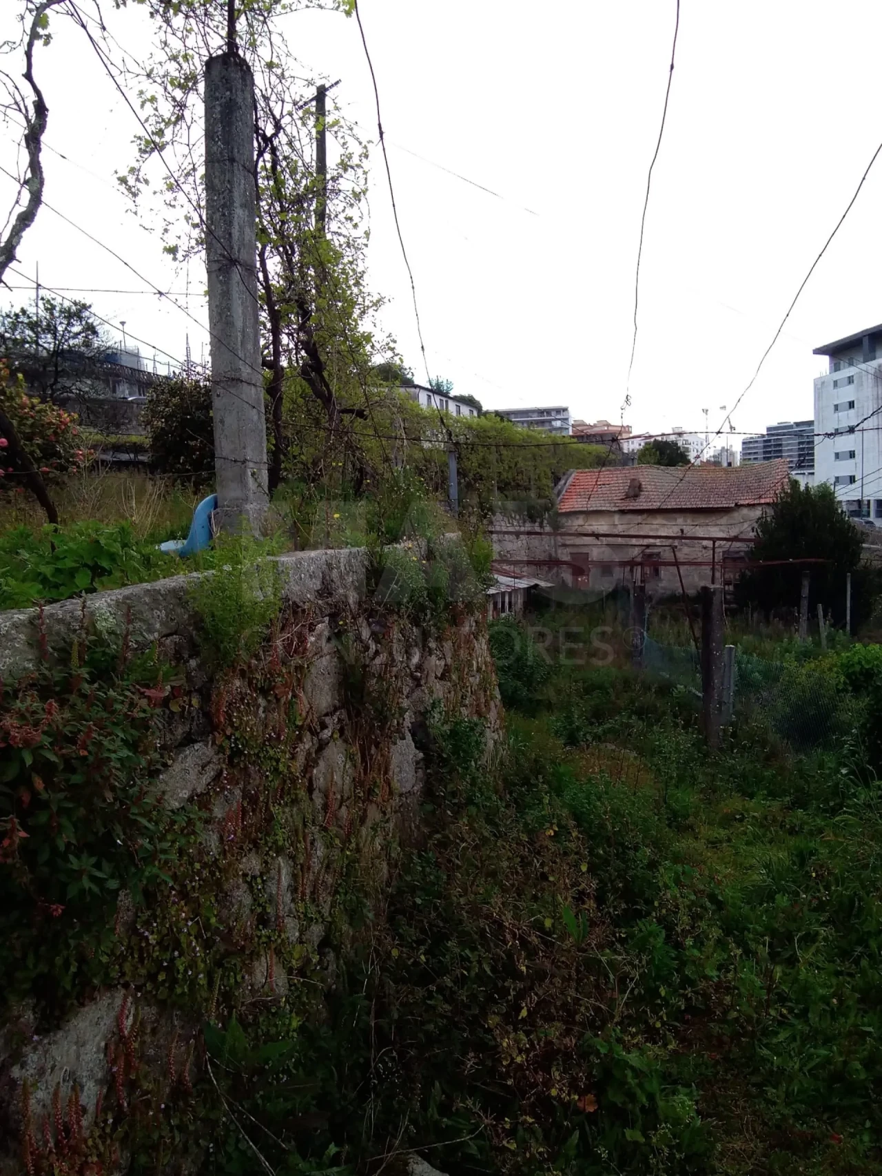 Terreno para Venda em Campanhã Foto 8