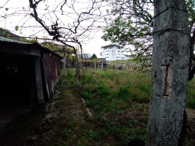 Terreno para Venda em Campanhã Foto 3