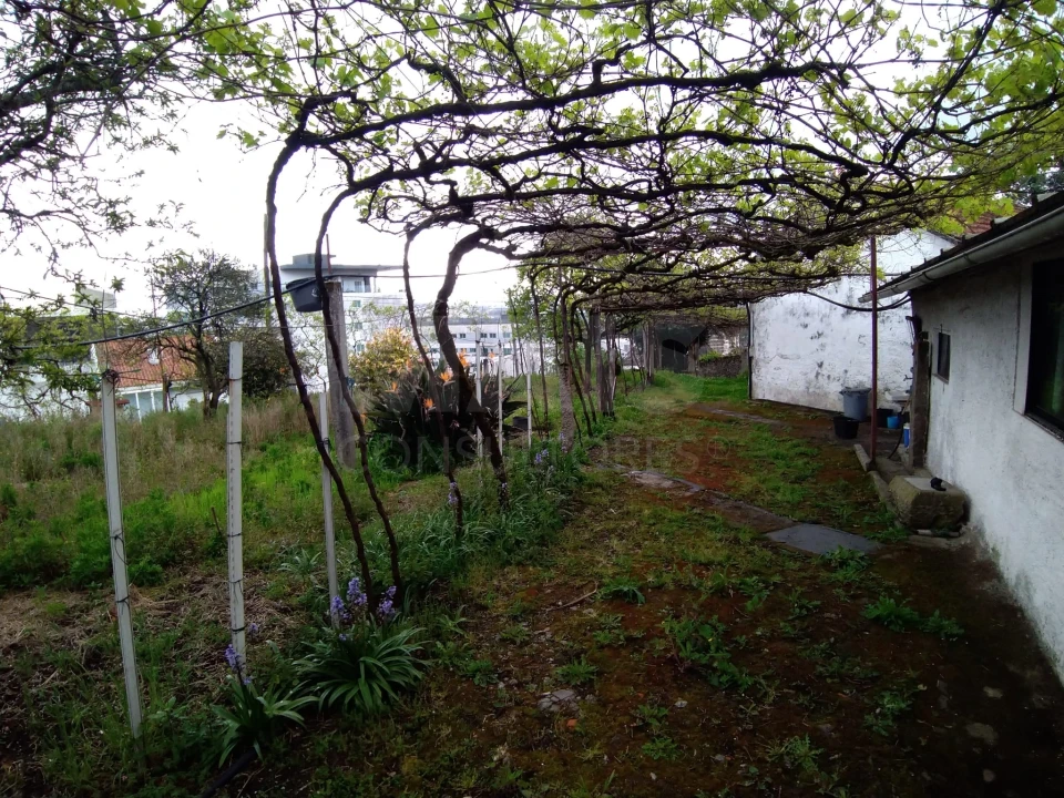 Terreno para Venda em Campanhã Foto 1