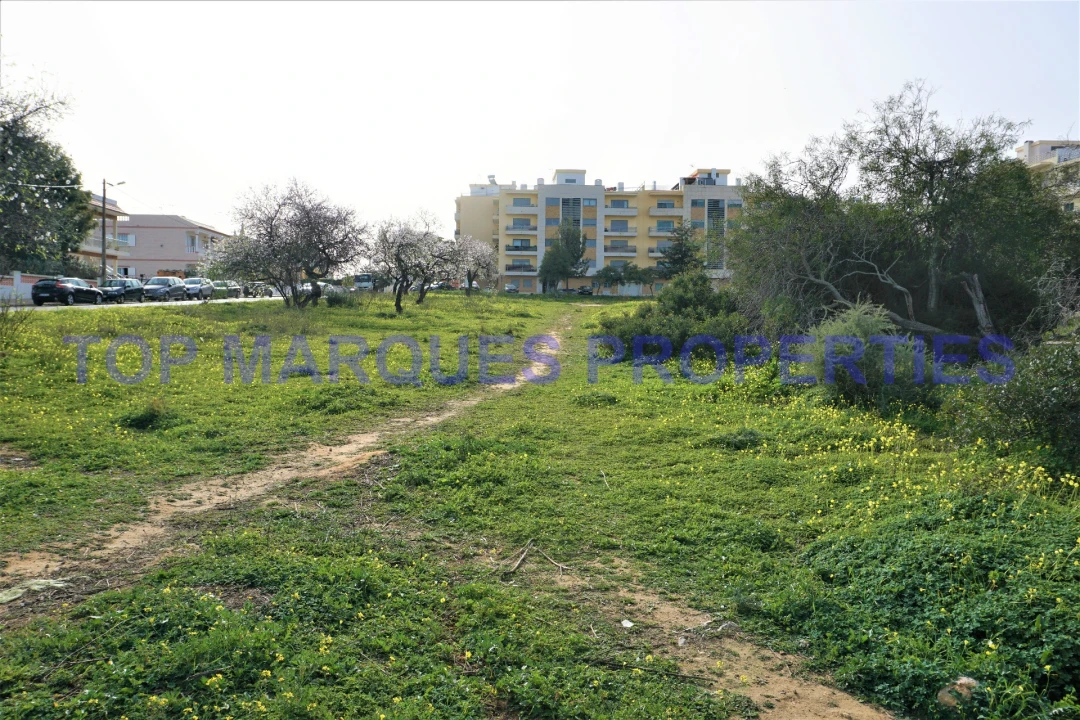 Terreno para Venda em Pechão Foto 9