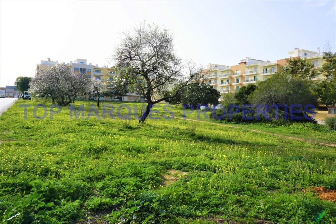 Terreno para Venda em Pechão Foto 11