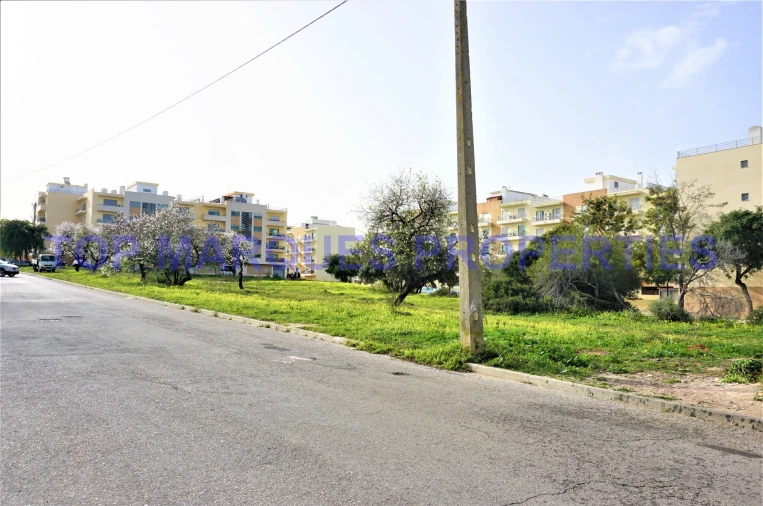 Terreno para Venda em Pechão Foto 12