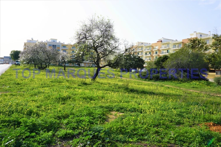 Terreno para Venda em Pechão Foto 11