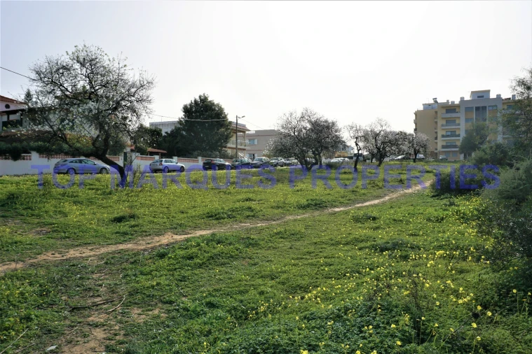 Terreno para Venda em Pechão Foto 7