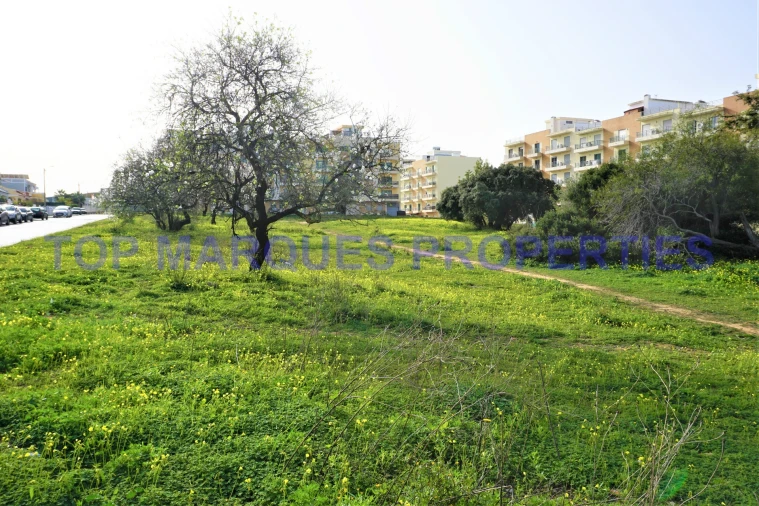 Terreno para Venda em Pechão Foto 10
