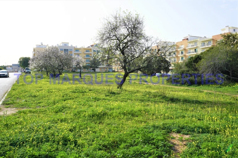 Terreno para Venda em Pechão Foto 6