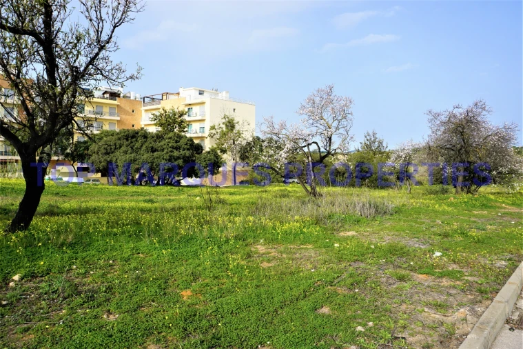 Terreno para Venda em Pechão Foto 5