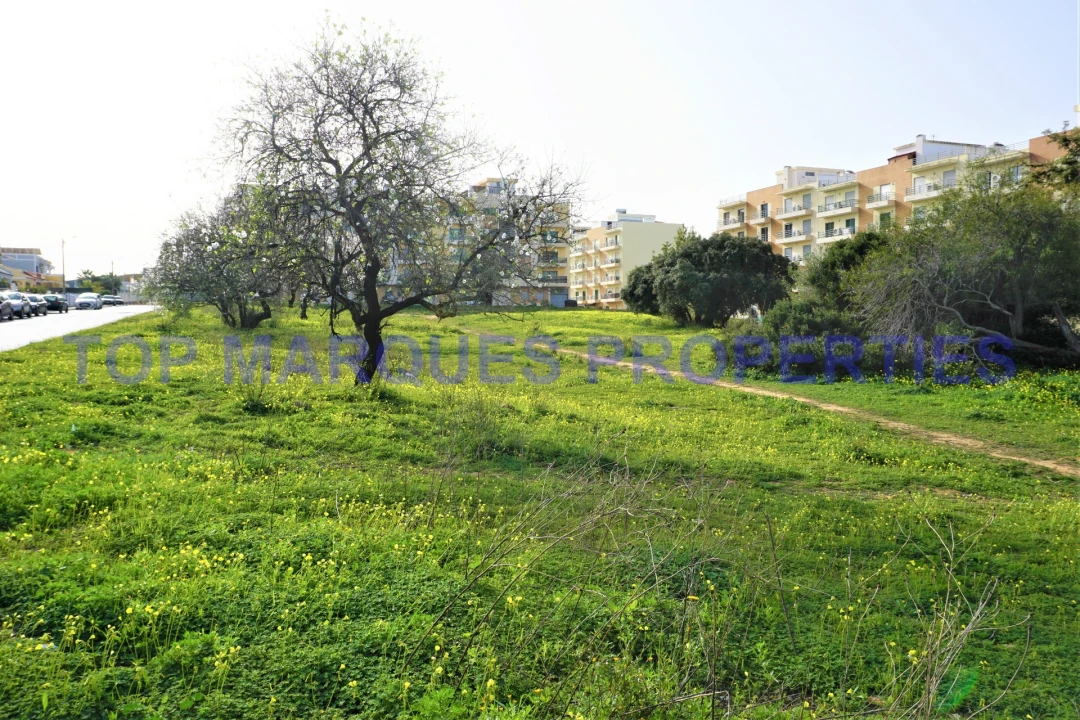 Terreno para Venda em Pechão Foto 10