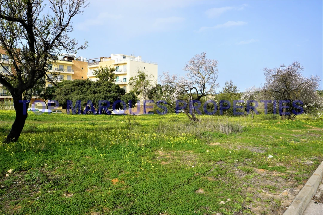 Terreno para Venda em Pechão Foto 5