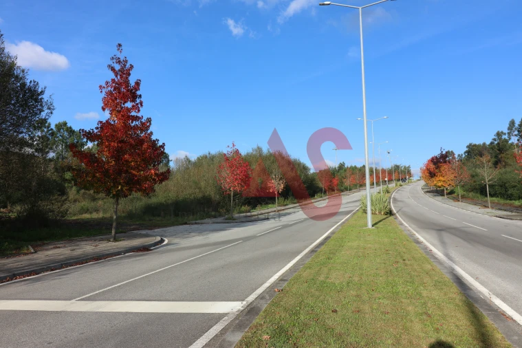 Terreno para Venda em Cristelos, Boim e Ordem Foto 6