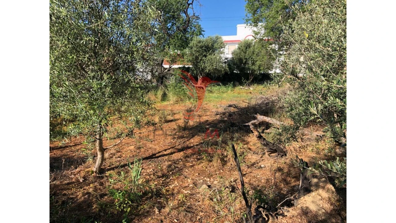 Terreno para Venda em Moncarapacho e Fuseta Foto 3