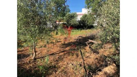 Terreno para Venda em Moncarapacho e Fuseta